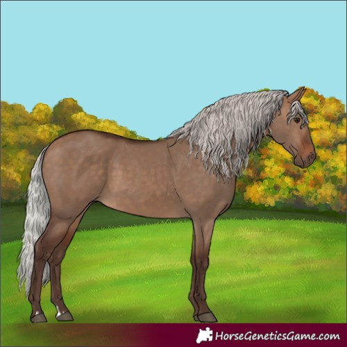 Horse Color:Silver Brown Dun 