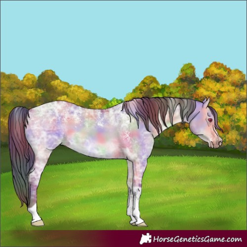 Horse Color:Powder White Nacre Bay Ice Dun