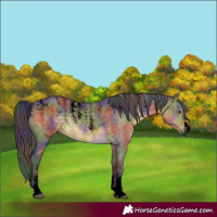 Horse Color:Powder White Void Nacre Buckskin Dun