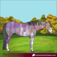 Horse Color:Nacre Brown Dun Sabino Tobiano Rabicano