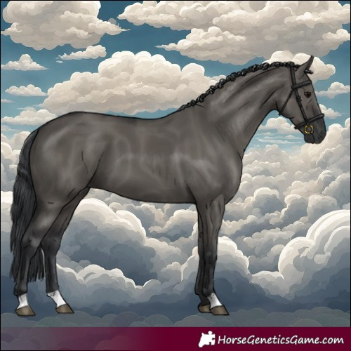 Horse Color:Grullo 