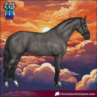 Horse Color:Grullo