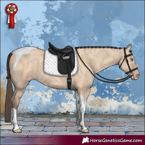 Horse Color:Amber Champagne Dun Tobiano 