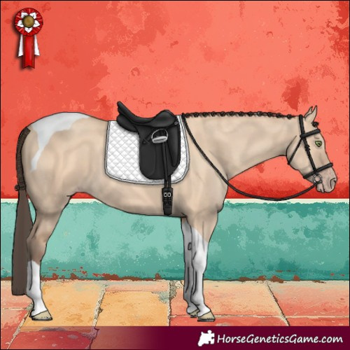 Horse Color:Amber Champagne Dun Tobiano 