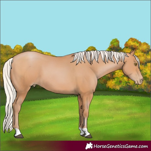 Horse Color:Silver Bay Pearl