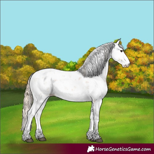 Horse Color:Chestnut Sabino 