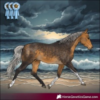 Horse Color:Silver Buckskin Tobiano 