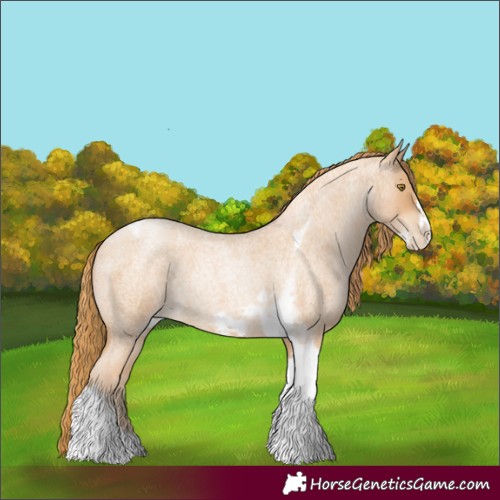Horse Color:Red Roan Pearl Tobiano Frame 