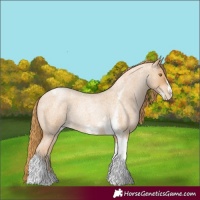 Horse Color:Red Roan Pearl Tobiano Frame 