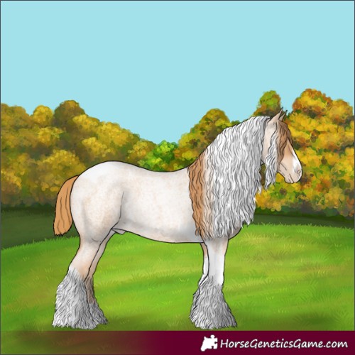 Horse Color:Red Roan Pearl Tobiano Frame 