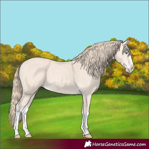 Horse Color:Perlino Splash  and Perlino Splash 