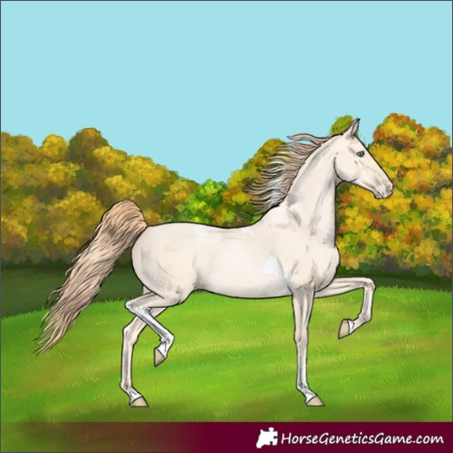 Horse Color:Amber Cream Champagne Pearl Tobiano Rabicano