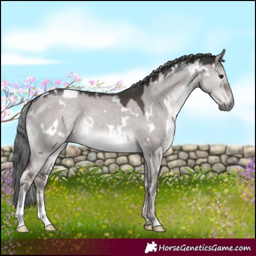 Horse Color:Platinum White Spotted Liver Red Dun Mushroom