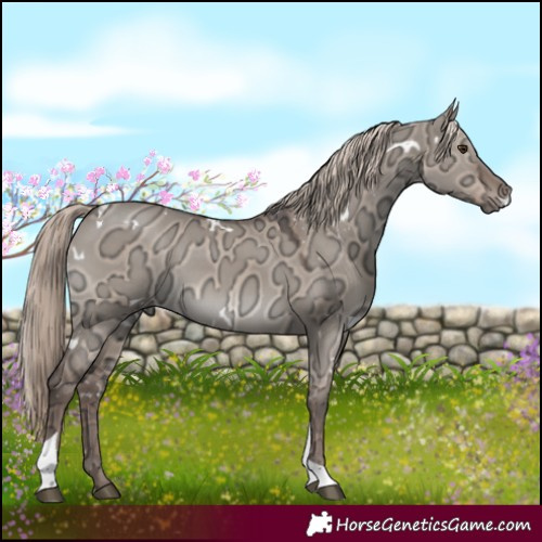 Horse Color:White Spotted Liver Red Dun Ice Mushroom Tobiano Rabicano 