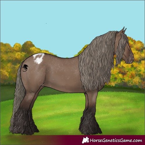 Horse Color:Liver Red Dun Mushroom Appaloosa 
