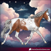 Horse Color:Silver Bay Splash Tobiano Varnish Rabicano