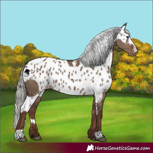 Horse Color:Liver Red Dun Mushroom Skewed LP Spotted 