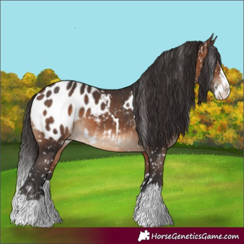 Horse Color:White Spotted Brown Splash Blanket