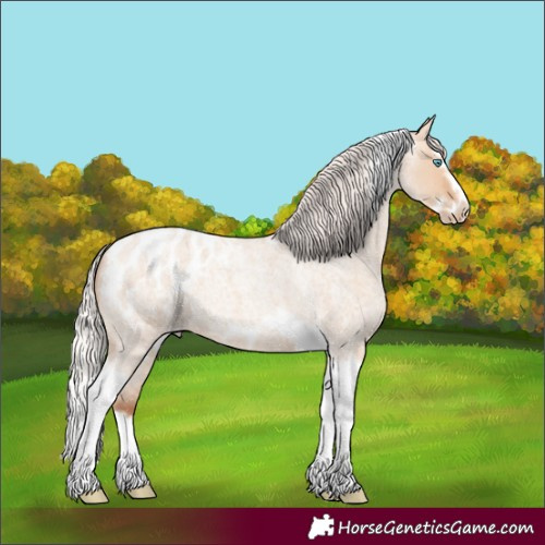 Horse Color:Silver Amber Champagne Roan Dun Splash Tobiano Frame Appaloosa Rabicano 