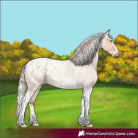 Horse Color:Silver Amber Champagne Roan Dun Splash Tobiano Frame Appaloosa Rabicano