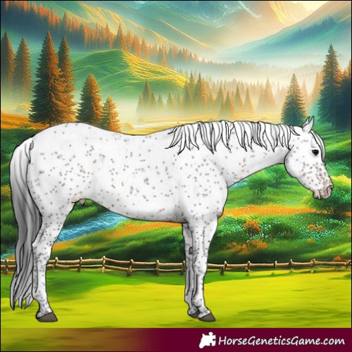 Horse Color:Brown Sabino Rabicano 