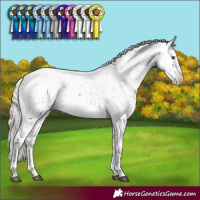 Horse Color:Silver Bay Sabino