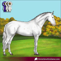 Horse Color:Silver Bay Sabino