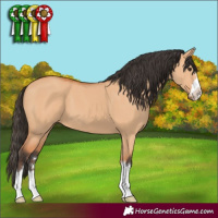 Horse Color:Bay Dun