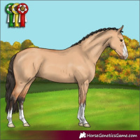 Horse Color:Bay Dun 