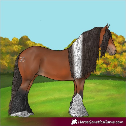 Horse Color:Bay Tobiano 