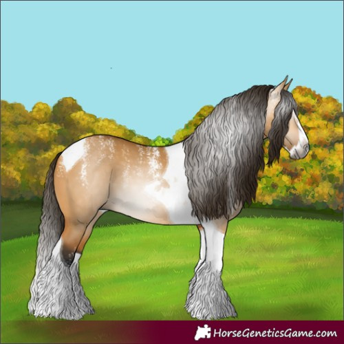 Horse Color:Powder White Gray Buckskin Dun Splash Tobiano 