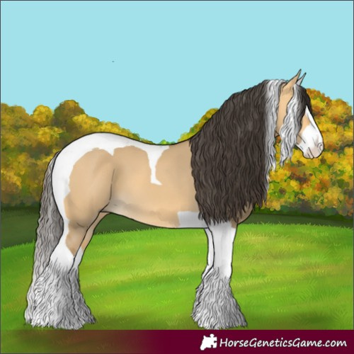 Horse Color:Buckskin Dun Splash Tobiano 