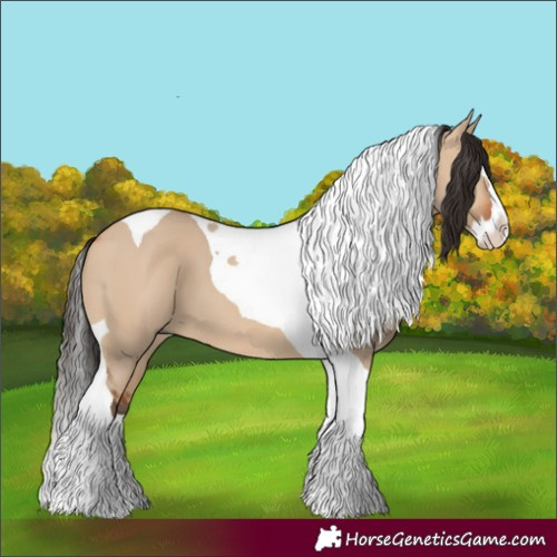 Horse Color:Bay Dun Splash Tobiano 