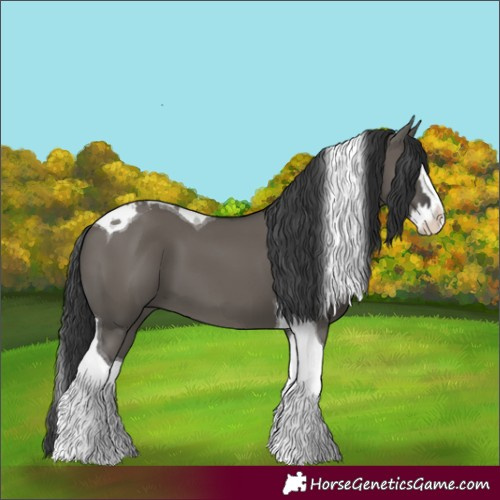 Horse Color:Grullo Splash Tobiano