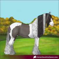 Horse Color:Smoky Grullo Splash Tobiano 