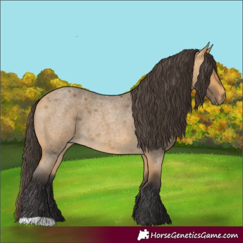 Horse Color:Buckskin Roan 