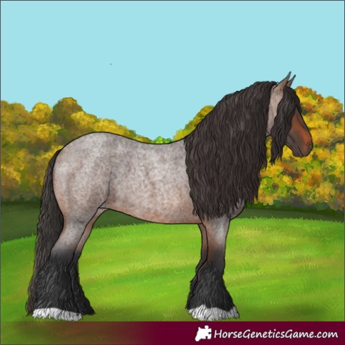 Horse Color:Brown Roan 