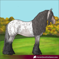 Horse Color:Platinum Bay Roan Skewed LP Spotted