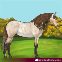 Horse Color:Powder White Gray Buckskin Roan Dun Skewed LP Spotted 