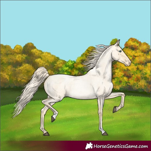 Horse Color:Palomino Roan Pearl Dun Varnish 