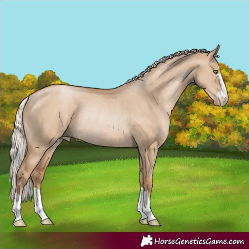 Horse Color:Silver Grullo Pearl Rabicano 