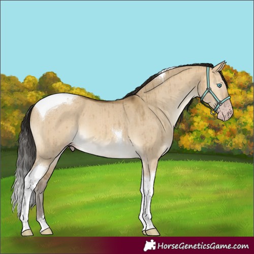 Horse Color:Gray Sable Cream Champagne Dun Mushroom Tobiano Brindle