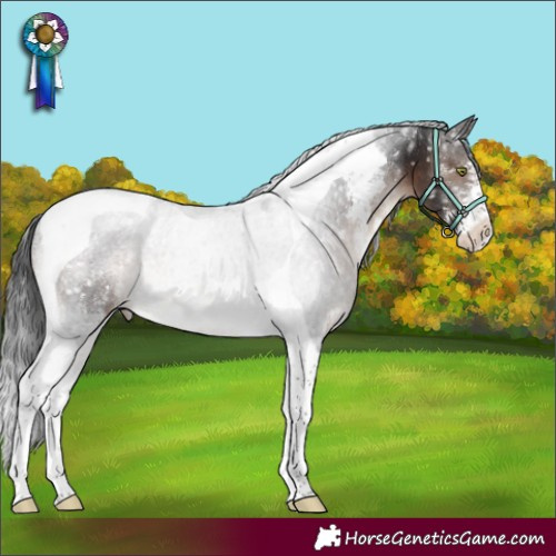 Horse Color:Brown Mushroom Sabino Tobiano Snowflake Varnish