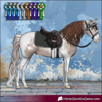 Horse Color:Classic Champagne Dun Mushroom Sabino Splash Tobiano Blanket 