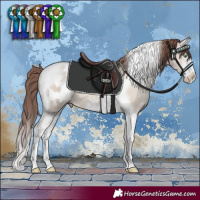Horse Color:Classic Champagne Dun Mushroom Sabino Splash Tobiano Blanket 