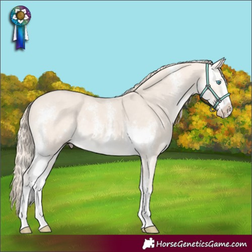 Horse Color:Perlino Mushroom Sabino 