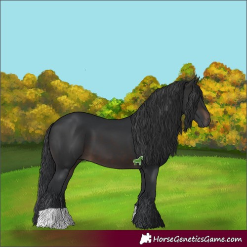 Horse Color:Brown 