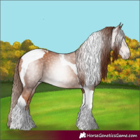 Horse Color:Gray Gold Champagne Tobiano 