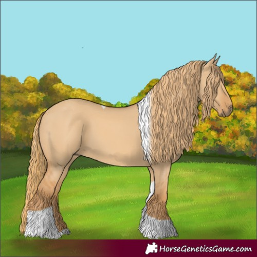 Horse Color:Red Dun Tobiano
