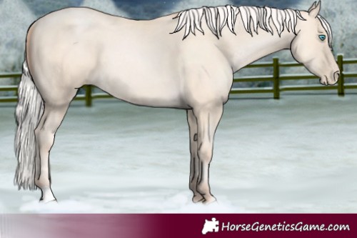 Horse Color:Silver Sable Cream Champagne Pearl 